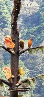329 Vogelbeobachtung &ndash; &copy; Susanne Schirmann (Eberhardt TRAVEL)