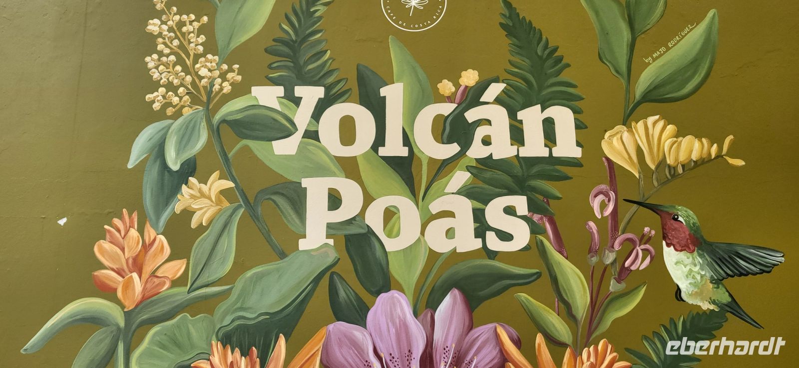 06 Poas Vulkan &ndash; &copy; Susanne Schirmann (Eberhardt TRAVEL)
