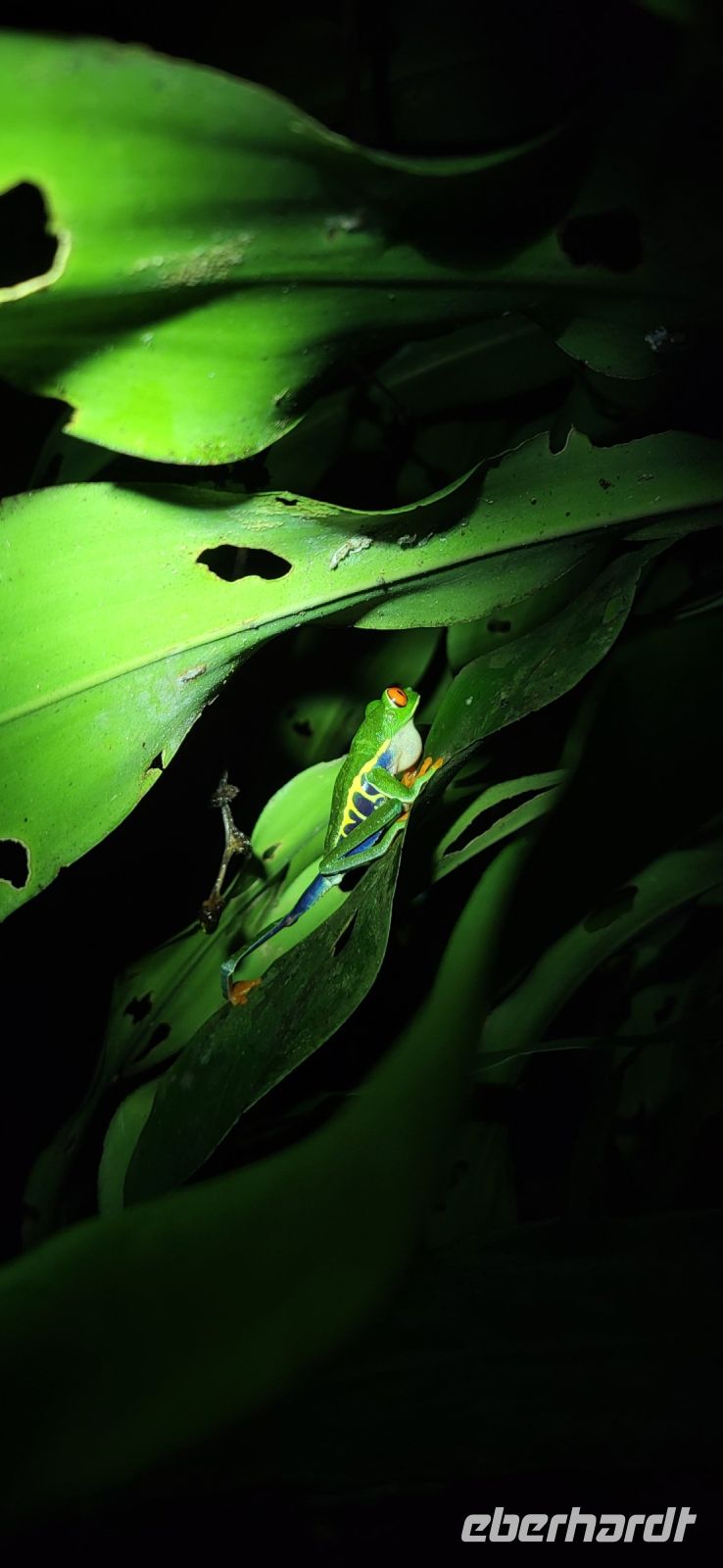17 Froschtour &ndash; &copy; Susanne Schirmann (Eberhardt TRAVEL)