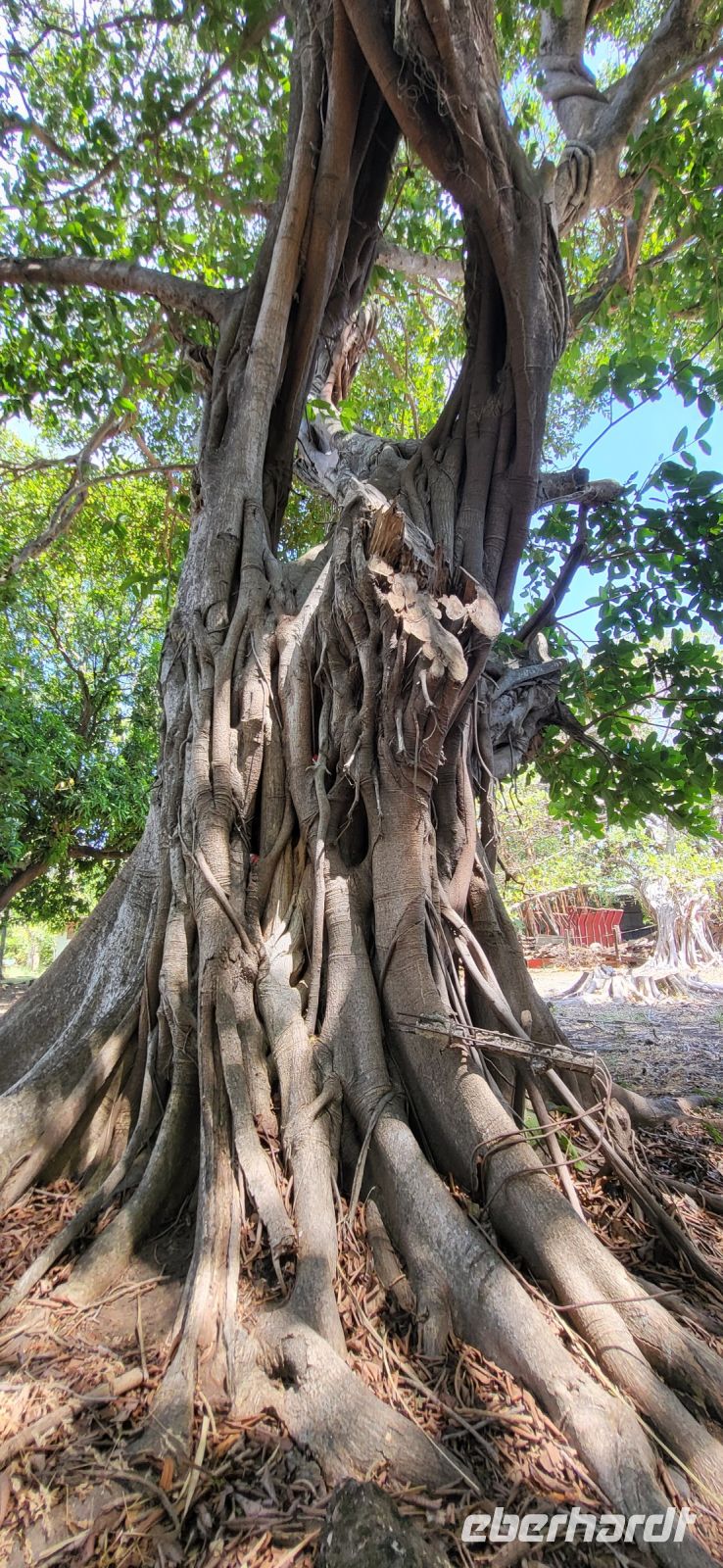 54 Costa Rica &ndash; &copy; Susanne Schirmann (Eberhardt TRAVEL)
