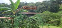 08 Mi Cafecito Kaffeefarm &ndash; &copy; Susanne Schirmann (Eberhardt TRAVEL)
