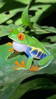 21 Froschtour &ndash; &copy; Susanne Schirmann (Eberhardt TRAVEL)