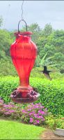 55 Kolibri &ndash; &copy; Susanne Schirmann (Eberhardt TRAVEL)