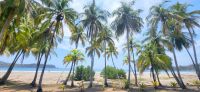 68  Playa Carillo &ndash; &copy; Susanne Schirmann (Eberhardt TRAVEL)