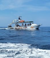 72 auch die Nachbarn suchen &ndash; &copy; Susanne Schirmann (Eberhardt TRAVEL)