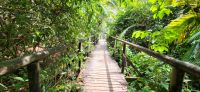 139 Besuch Manuel Antonio Nationalpark &ndash; &copy; Susanne Schirmann (Eberhardt TRAVEL)