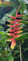 161 herrliche Natur &ndash; &copy; Susanne Schirmann (Eberhardt TRAVEL)