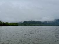 10. Tag – Von Osa nach Drake Bay – Überfahrt von Sierpe nach Drake Bay auf dem Sierpe River &ndash; &copy; Andreas Wolfsteller (Eberhardt TRAVEL)