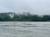 10. Tag – Von Osa nach Drake Bay – Überfahrt von Sierpe nach Drake Bay auf dem Sierpe River &ndash; &copy; Andreas Wolfsteller (Eberhardt TRAVEL)