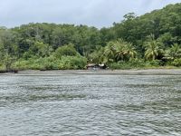 10. Tag – Von Osa nach Drake Bay – Überfahrt von Sierpe nach Drake Bay auf dem Sierpe River &ndash; &copy; Andreas Wolfsteller (Eberhardt TRAVEL)