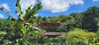 15 Kaffeefarm &ndash; &copy; Susanne Schirmann (Eberhardt TRAVEL)