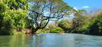 53 Rafting auf dem Corobici Fluss &ndash; &copy; Susanne Schirmann (Eberhardt TRAVEL)
