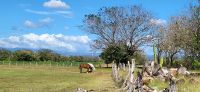 56 Costa Rica &ndash; &copy; Susanne Schirmann (Eberhardt TRAVEL)