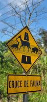 58 Achtung Tierwelt