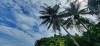 202 Canyo Island