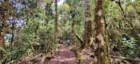 224 Wanderung  &ndash; &copy; Susanne Schirmann (Eberhardt TRAVEL)