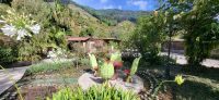 218 Savegre Lodge &ndash; &copy; Susanne Schirmann (Eberhardt TRAVEL)