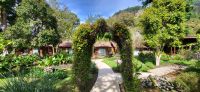 219 Savegre Lodge &ndash; &copy; Susanne Schirmann (Eberhardt TRAVEL)
