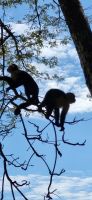133 Banditen auf der Lauer &ndash; &copy; Susanne Schirmann (Eberhardt TRAVEL)