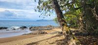 172 Playa Cocalito &ndash; &copy; Susanne Schirmann (Eberhardt TRAVEL)