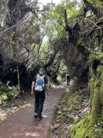 Wanderung am Poás