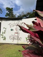 Mi Cafecito &ndash; &copy; Peggy Schkade (Eberhardt TRAVEL)