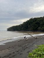 Playa Camaronal