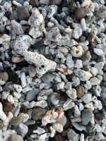 Korallen am Strand &ndash; &copy; Peggy Schkade (Eberhardt TRAVEL)