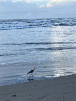 Playa Samará &ndash; &copy; Peggy Schkade (Eberhardt TRAVEL)