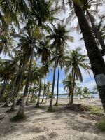 Playa Samará &ndash; &copy; Peggy Schkade (Eberhardt TRAVEL)