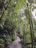 Nebelwald &ndash; &copy; Peggy Schkade (Eberhardt TRAVEL)