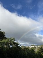 Abschied von Monteverde &ndash; &copy; Peggy Schkade (Eberhardt TRAVEL)