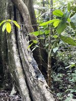 Suchbild &ndash; &copy; Peggy Schkade (Eberhardt TRAVEL)