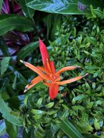 im Garten der Lodge &ndash; &copy; Peggy Schkade (Eberhardt TRAVEL)