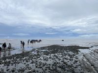 nasse Landung &ndash; &copy; Peggy Schkade (Eberhardt TRAVEL)