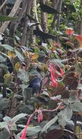 Feathers Vogelbeobachtungsstation &ndash; &copy; Peggy Schkade (Eberhardt TRAVEL)