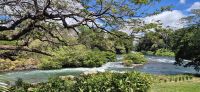 40 Rafting Tour Corbici Fluss &ndash; &copy; Susanne Schirmann (Eberhardt TRAVEL)