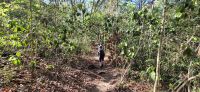 72 Besuch des Werner Sauter Biological Reserve &ndash; &copy; Susanne Schirmann (Eberhardt TRAVEL)