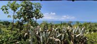 132 Ausblick von den Zimmern &ndash; &copy; Susanne Schirmann (Eberhardt TRAVEL)