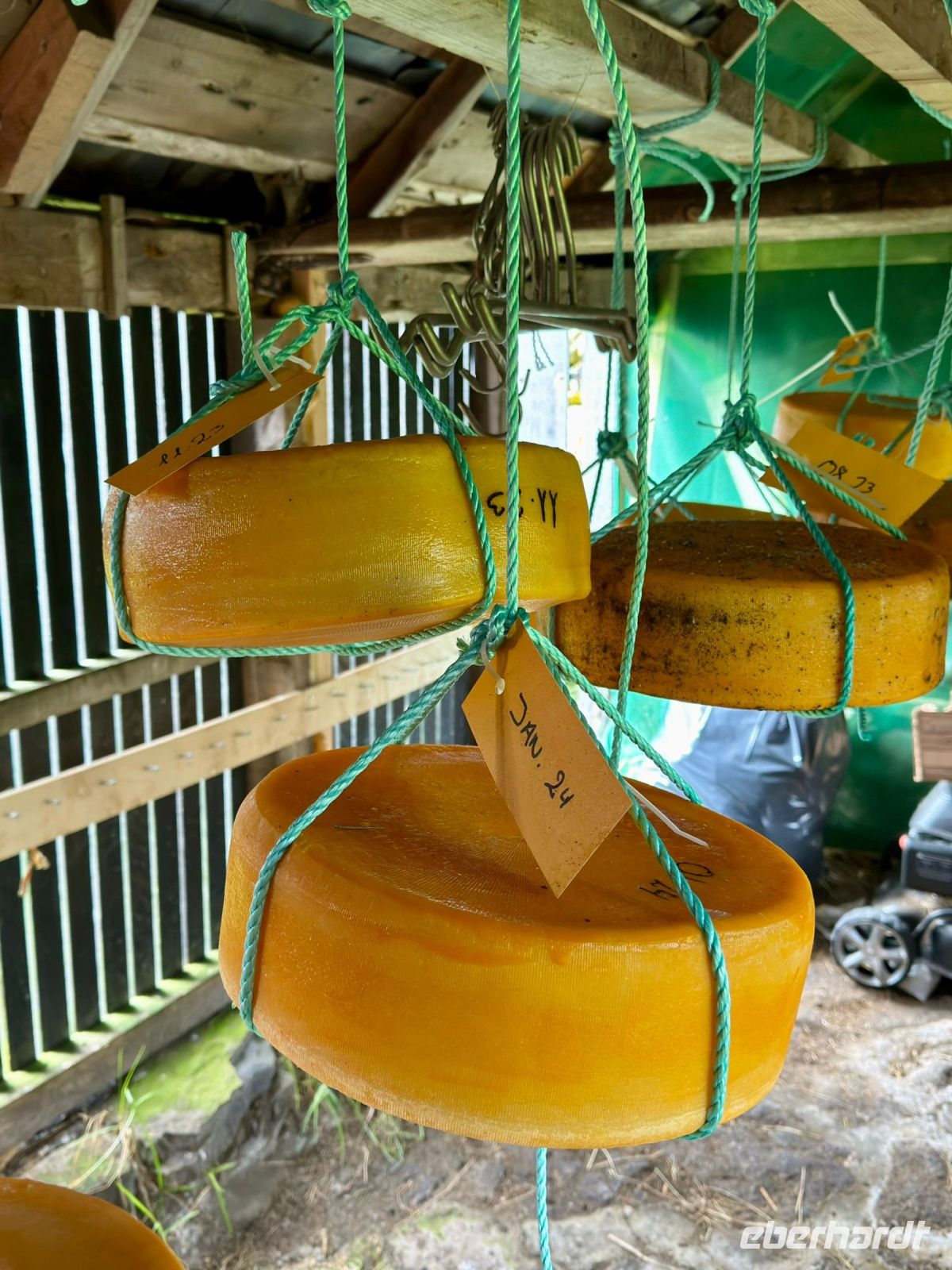 Käse aus Färöer - Insel Kalsoy - Färöer Inseln &ndash; &copy; René Wächtler (Eberhardt TRAVEL)