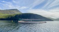Faröer - Rückkehr zum Hafen Sørvágur &ndash; &copy; Heike Wagner (Eberhardt TRAVEL)