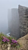 Trælanipa Klippen &ndash; &copy; Sinah Witzig (Eberhardt TRAVEL)
