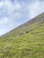 Tjornuvik &ndash; &copy; Andy Nguyen (Eberhardt TRAVEL)