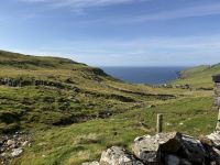 Entdeckungen auf Mykines &ndash; &copy; Andy Nguyen (Eberhardt TRAVEL)
