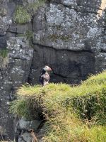 Entdeckungen auf Mykines - Papageientaucher &ndash; &copy; Andy Nguyen (Eberhardt TRAVEL)