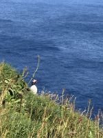 Entdeckungen auf Mykines - Papageientaucher &ndash; &copy; Andy Nguyen (Eberhardt TRAVEL)