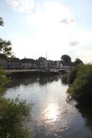 Ribe