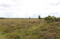Landschaft um Hald Ege
