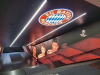 0305 Allianz Arena &ndash; &copy; Jörg Nesse (Eberhardt TRAVEL)