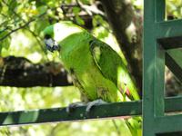 Jacko (2) &ndash; &copy; Steffi Zimmermann (Eberhardt TRAVEL)